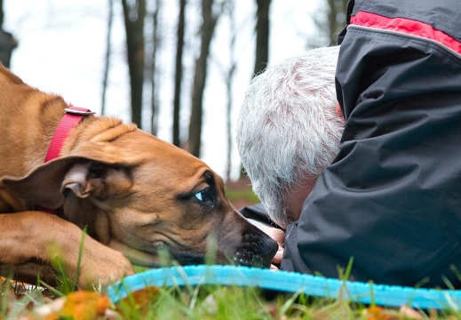 190127-104034-0006 20190210 1051226619