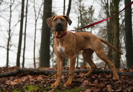 190127-104711-0011 20190210 1226140906