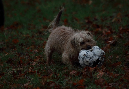 2019-01-27 029 20190131 1504896612