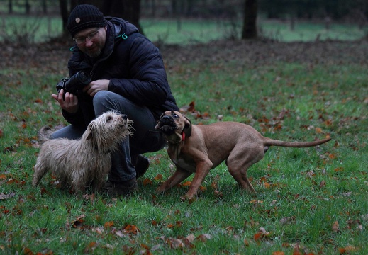 2019-01-27 131 20190131 1330582288