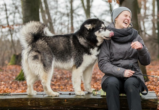 img 0398 20190203 1485006864