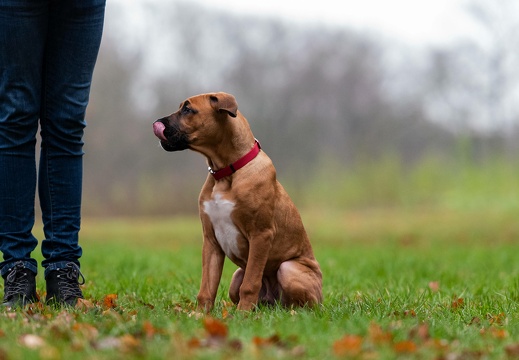 me7 1702 20190210 1062049267