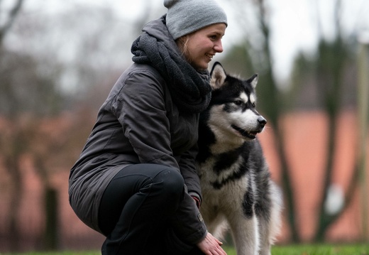 me7 1749 20190210 1958244468