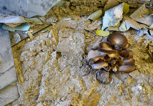 me7 2091 20190218 1329864177