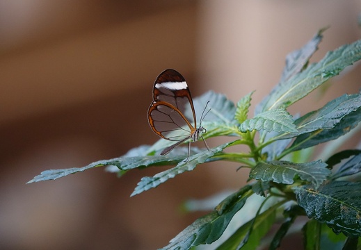 dsc05452 20190401 1404135123