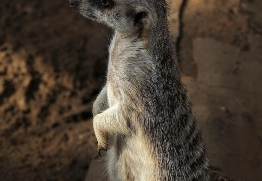 dsc05536 20190401 1342882878