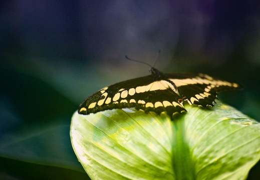 me7 2404 20190309 1224275038