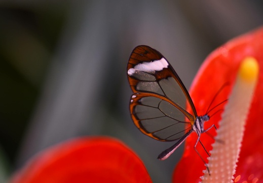 me7 2407 20190309 1583065864