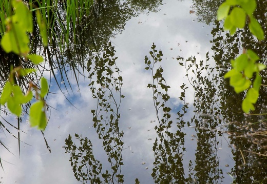 img 0564 i 20190512 1101992474