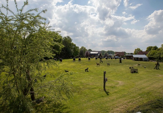 img 0841 20190602 1907654695