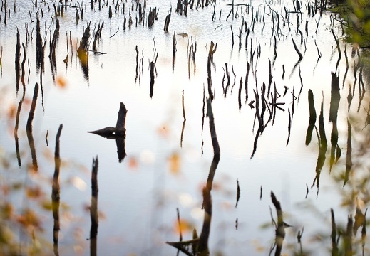 190928-083139-0105 20191003 1057272065