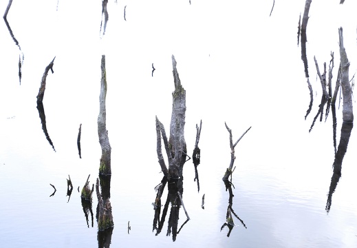 190928 Venner Moor