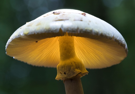 191020-104312-0041 20191022 1826414979