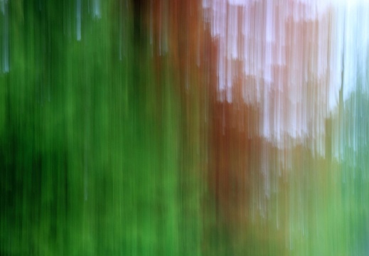 2019-10-20 116 20191020 1841125236