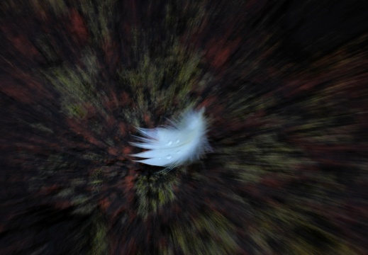 2019-10-20 125 20191020 1470001910