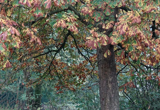 4eb60f93-a9b6-42bc-abe4-b75f5240cf67 20191020 1674263972