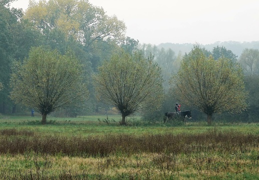 dsc07578 20191110 1186215011