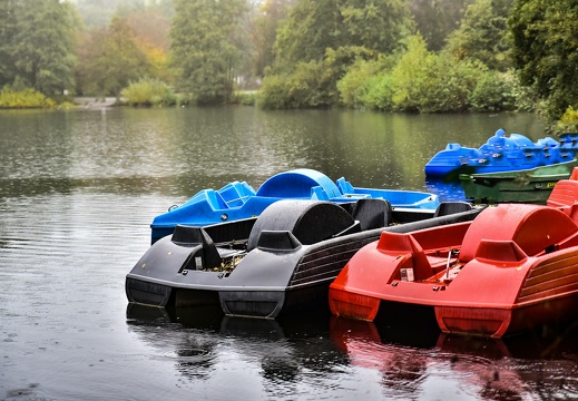 dsc 2927 20191021 2074669433