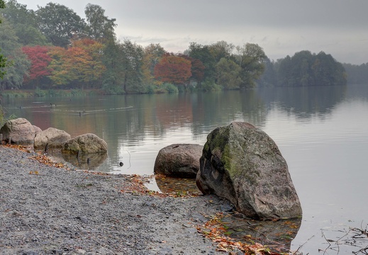 img 1625 6 7 9 20191023 1086618824