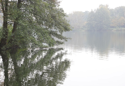 img 1648 20191023 2090994806