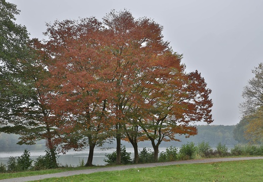 img 1664 20191023 1527074237