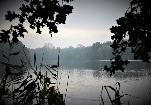 img 5000 20191110 1061414666