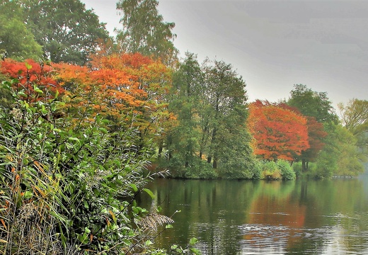 img 50131 20191110 1625817850