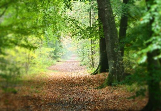 pa200212 20191105 1451341154