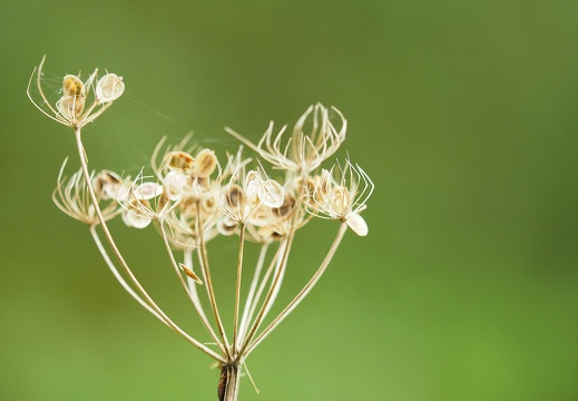 pa200247 20191105 1321493530