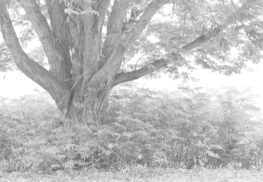 pa200305 20191105 1491193232