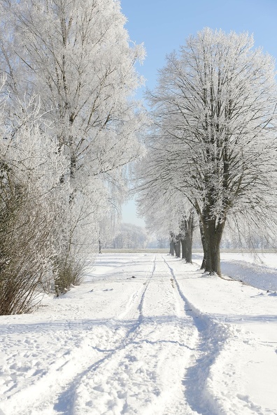 210200 - Corona Winter Sonne - Sabine img_2501_20210215_1839932433.jpg