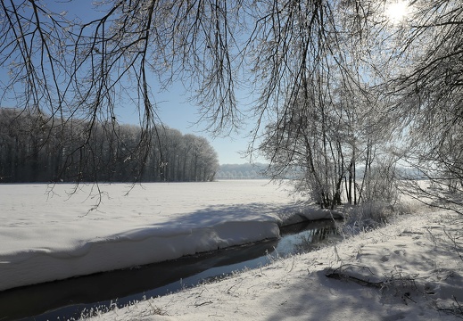 img 2513 20210215 1674707262
