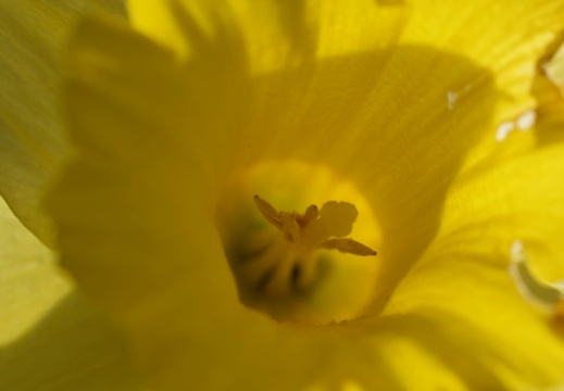 220403-100750-00007 20220404 1737238534