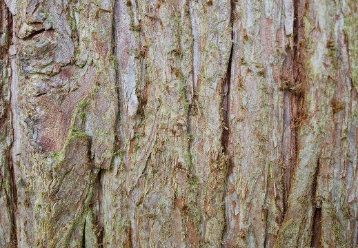 220403-102211-00013 20220404 1829657090