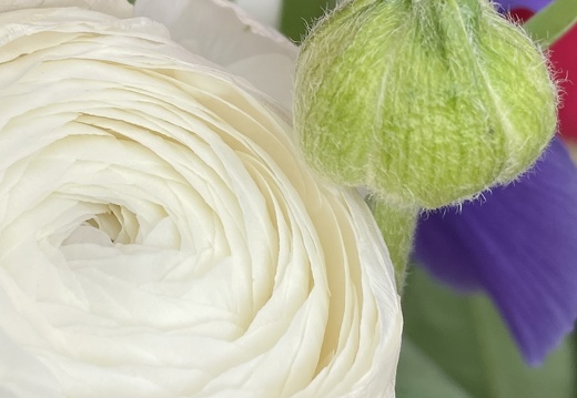 9089d2fd-f4a1-4b60-91c7-8b3ea7e1d12f 20220410 1567728494