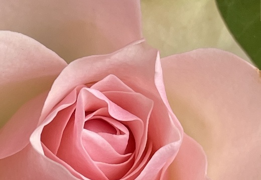 befa2212-3373-4448-a924-10021ec0379d 20220410 1805953628