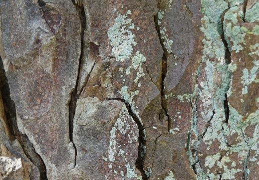 dsc09574 20220410 1956752200