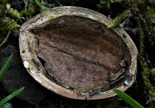 dsc09583 20220410 1229073258