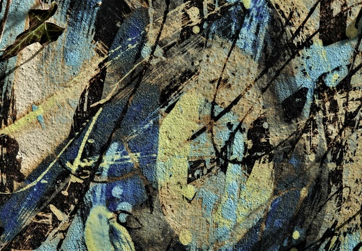 dsc09616 20220410 1584332775