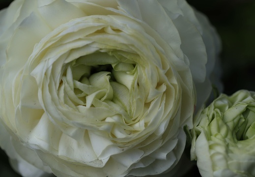 img 3097 20220407 1396955801