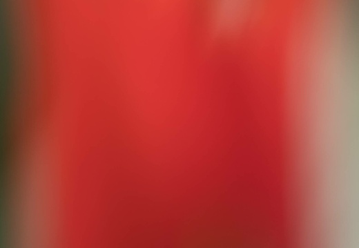 img 3586 20220404 1061480160