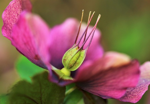 img 8166 20220410 1385183254