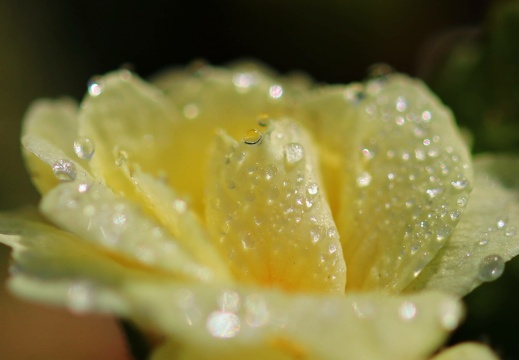 img 8204 20220414 1365528051