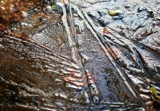 img 8224 20220410 1118012754