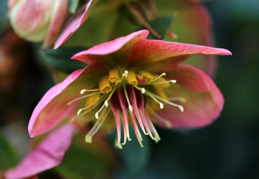 img 8247 20220410 1683379410