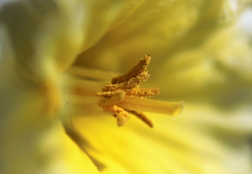 img 8283 20220414 2037125211