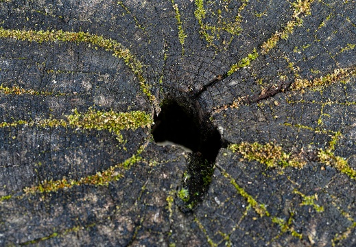 mz6 1438 20220408 1657837523