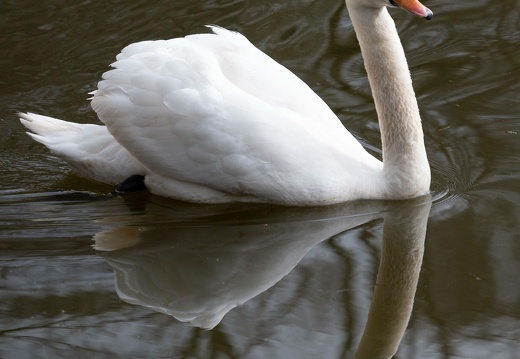 mz6 1474 20220408 1145755841