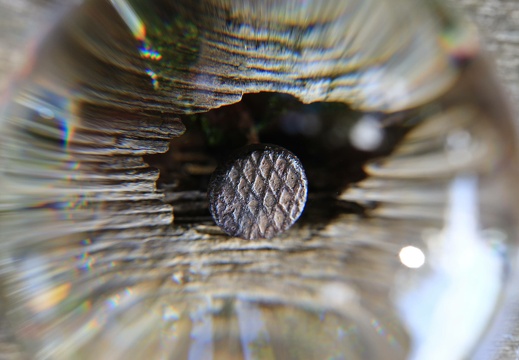 220522-104343-00011 20220526 2062089398