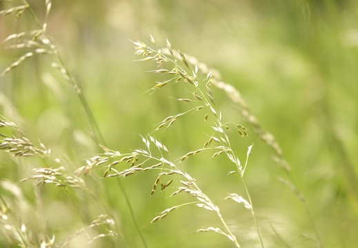 dsc00157 20220606 2061626043